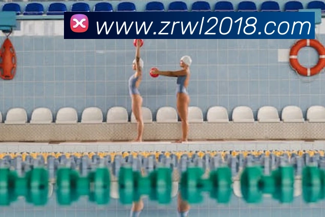 k1体育官方网站登录入口平台生态图